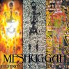 Meshuggah - (1995) Destroy Erase Improve.jpg