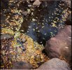20211031 Colorado Boulder Agfa Isolette-011.jpg