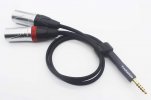 4.4mm to Dual XLR.jpg
