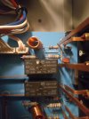 IMG_20220126_070305.jpg