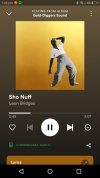 04-Spotify-now-playing.jpg