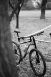 C0455CAA-032A-4206-AA40-0A968DBC50B2.jpeg