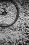 F54331C7-6F55-47DC-A97B-423F21882827.jpeg