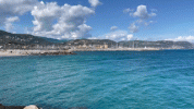 trim_26DCA948-57A5-44BE-8EDD-58C460420BDA_MOV_AdobeExpress.gif