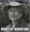 What in tarnation.jpg
