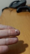 P_20240118_162730.jpg