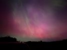 IMG_1087.jpeg