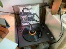 IMG_0549.jpeg