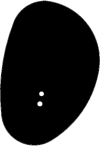 Transparent E3_GLASS_INSERT_LEFT_01-03-0077_R3.png