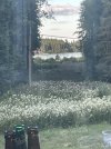 IMG_7147.jpeg