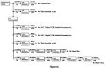 DSD_Production_Workflow.png