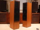 4709263-596e595c-ads-l1590-stereo-speakers-with-pa1-amplifier.jpg