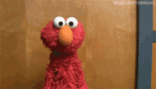 IMG_20240926_134134.gif