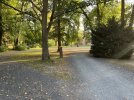 IMG_0208.jpeg
