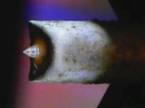 Image_2024-11-16 13_05_28_523.png