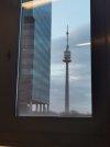 IMG_20241124_160050.jpg