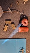 20250126_115231.jpg