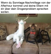 1742200543760.png