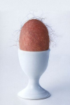 1742244864725.png