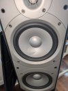 PXL_20250323_165947543.jpg