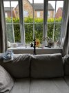 IMG_3477.jpeg