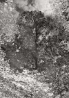Fall Equinox, Central FL 2024.jpg
