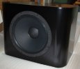 Salk Sound Clone of Gary's Midwoofer 2.jpg