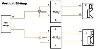 Vertical Bi-Amp - Small.jpg