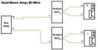Dual-Mono Amp Bi-Wire - Small.jpg