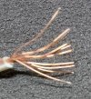 20250418_130209.jpg