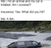 1746922960513.png