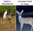 1747097328299.png