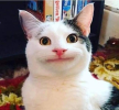1749060403227.png
