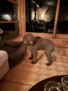 IMG_1688.jpeg