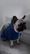 IMG_8864.jpeg