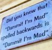 IMG_3044.jpeg