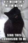 hey meow.jpg