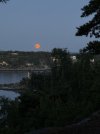 IMG_1837.jpeg