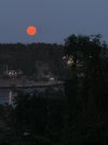 IMG_1838.jpeg