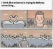 1752259523586.png