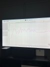 IMG_1998.jpeg
