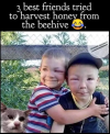 1752450587296.png