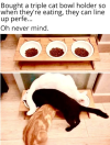 1752535184415.png