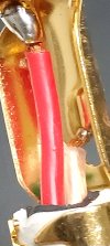 20250519_100905.jpg