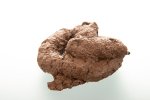 fresh-poop-isolated-over-white-600nw-2433453549[1].jpg