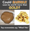 earwax.png