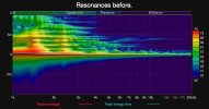 Resonances without echo signal.jpg