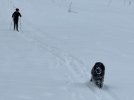 IMG_8685.jpeg