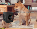 Smollness.png