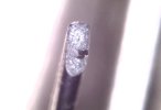 20260318_101904.jpg